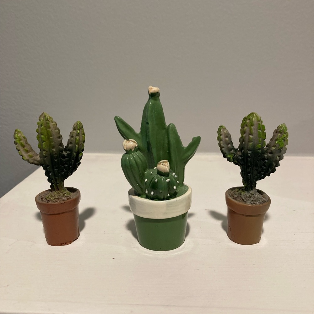 Miniature Cacti in Pots